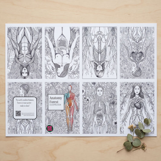 Anatomy Forest Micro Colouring DIY Book