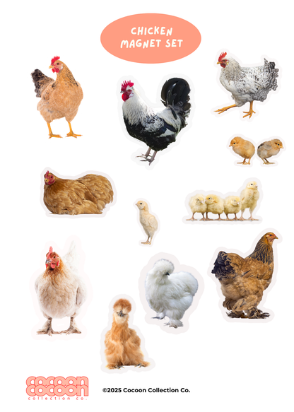 Chickens Magnet Set