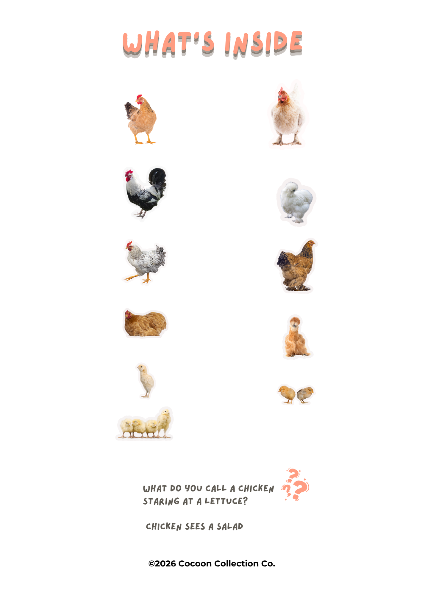 Chickens Magnet Set