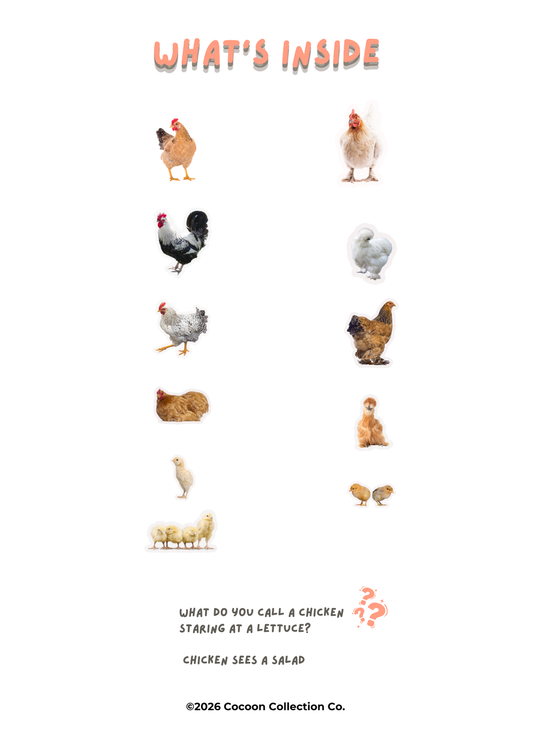 Chickens Magnet Set