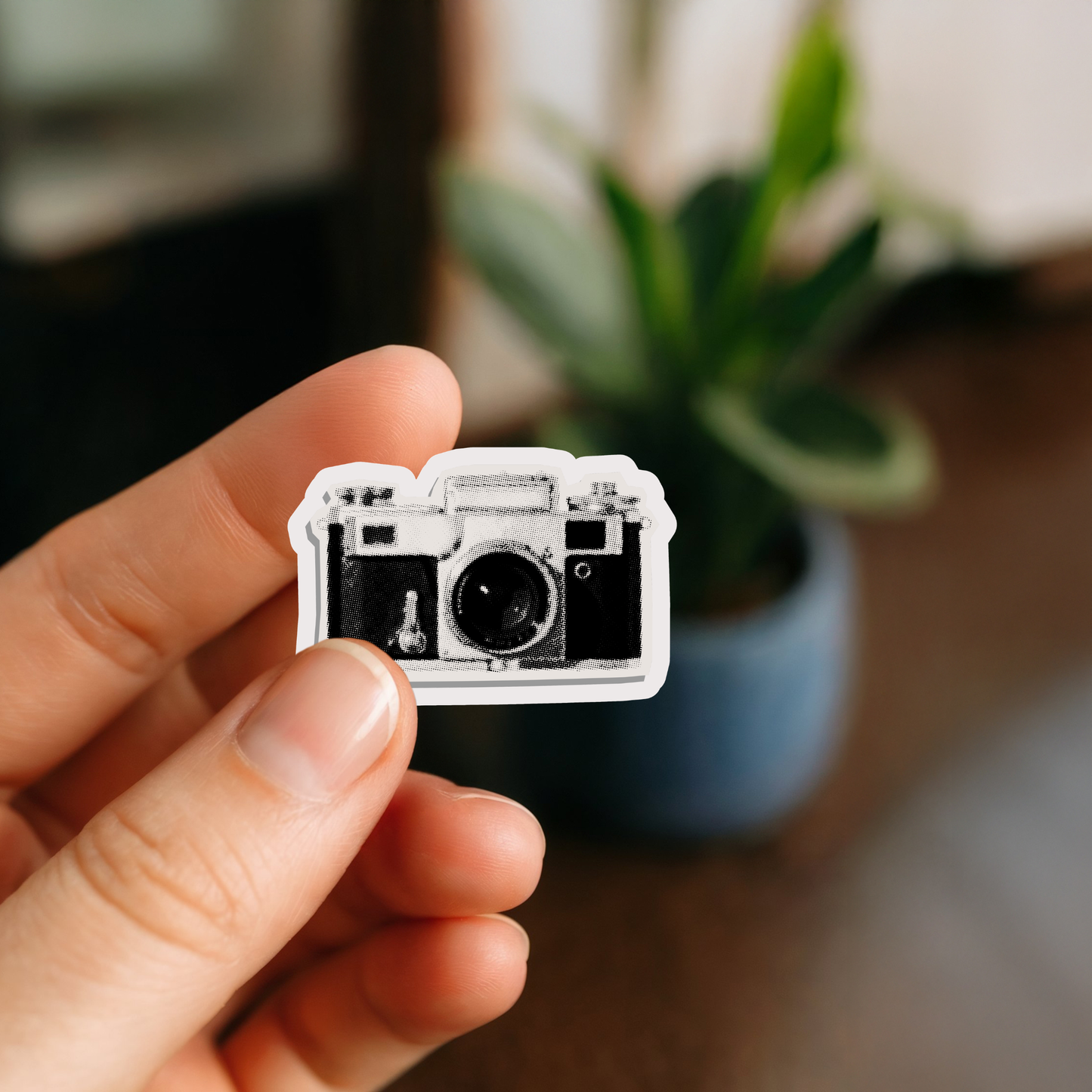 Cute Magnet Set