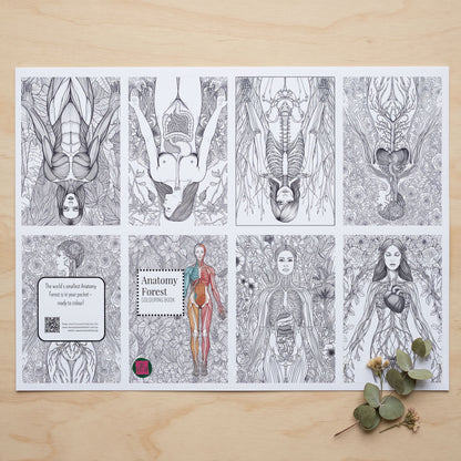 Anatomy Forest Micro Colouring DIY Book