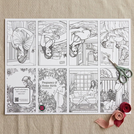 Pregnancy & Home Birth Micro Colouring DIY Book